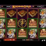 Perbedaan Antara Slot Online Klasik dan Video Slot